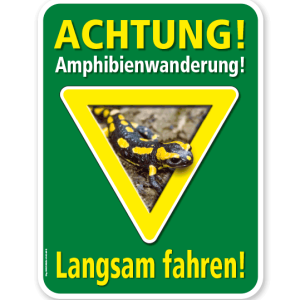 Tierschutzschild Achtung, Amphibienwanderung. Langsam fahren - Salamander – G