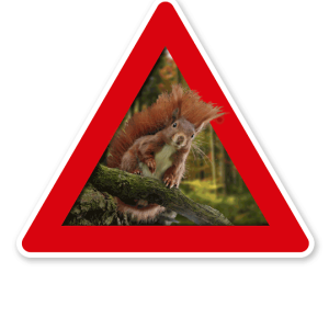 Verkehrsschild Achtung, Eichhörnchen – Tierschutz