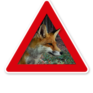 Verkehrsschild Achtung, Fuchs - Fuchsbandwurm, Wildtollwut 2