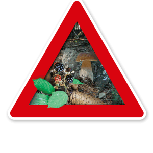 Verkehrsschild Achtung, Pilze und Beeren (sammeln verboten) – Naturschutz