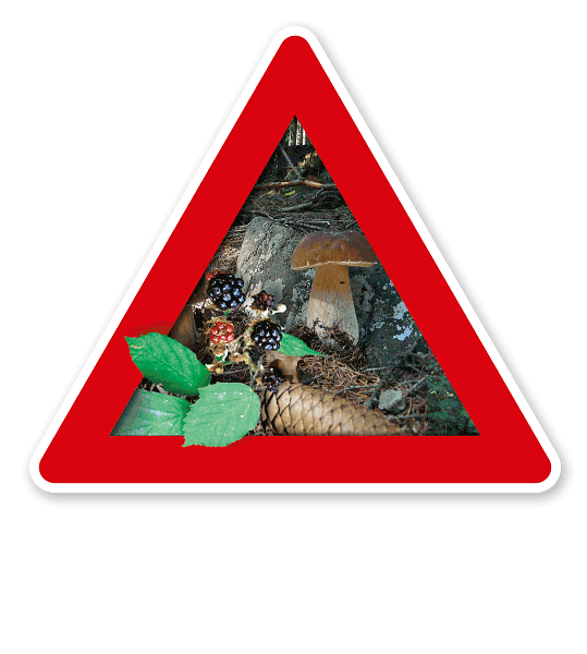 Verkehrsschild Achtung, Pilze und Beeren (sammeln verboten) – Naturschutz