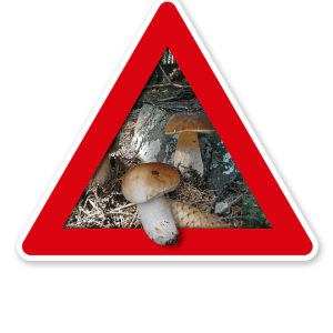 Verkehrsschild Achtung, Pilze (sammeln verboten) – Naturschutz