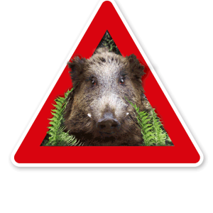 Verkehrsschild Achtung, Wildschweine - Schweinepest - Tierschutz