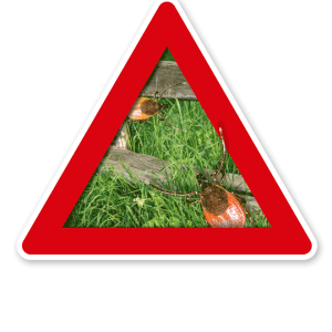 Hinweisschild Achtung, Zecken