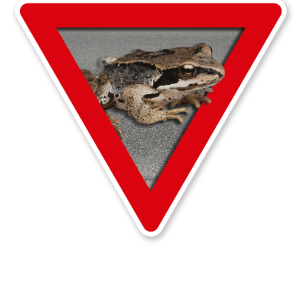 Verkehrsschild Vorsicht, Amphibienwanderung – Tierschutz (rot)