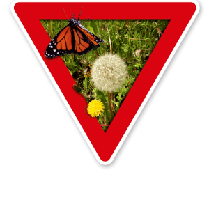 Verkehrsschild Vorsicht, Ausgleichsfläche – Naturschutz (rot)