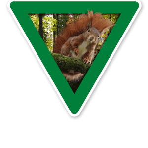 Verkehrsschild Vorsicht, Eichhörnchen – Tierschutz (grün)