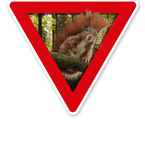 Verkehrsschild Vorsicht, Eichhörnchen – Tierschutz (rot)