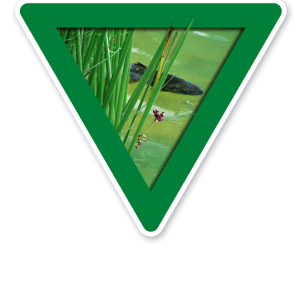 Verkehrsschild Vorsicht, Fischschonbezirk – Tierschutz (grün)