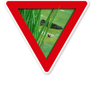 Verkehrsschild Vorsicht, Fischschonbezirk – Tierschutz (rot)