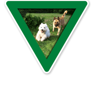 Verkehrsschild Vorsicht, Hundeauslauf - Hundeplatz (grün)