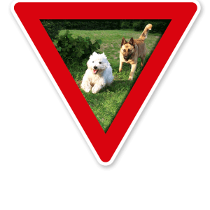 Verkehrsschild Vorsicht, Hundeauslauf - Hundeplatz (rot)