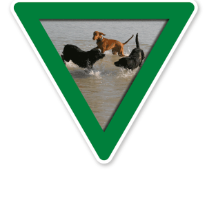 Verkehrsschild Vorsicht, Hundebadestelle - Hundeplatz (grün)