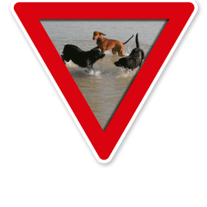 Verkehrsschild Vorsicht, Hundebadestelle - Hundeplatz (rot)