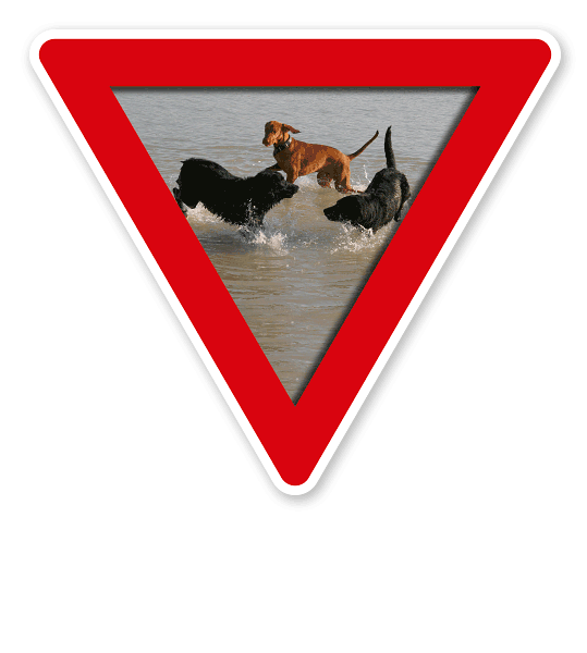 Verkehrsschild Vorsicht, Hundebadestelle - Hundeplatz (rot)