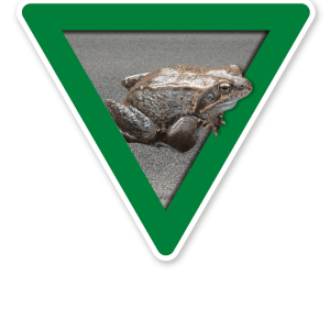 Verkehrsschild Vorsicht, Krötenwanderung – Tierschutz (grün)