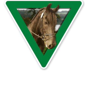 Verkehrsschild Vorsicht, Pferde (grün)
