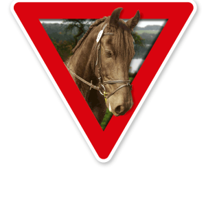 Verkehrsschild Vorsicht, Pferde (rot)