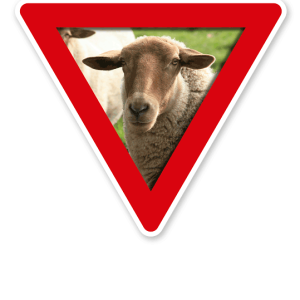 Verkehrsschild Vorsicht, Schafe