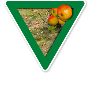 Verkehrsschild Vorsicht, Streuobstwiese - Naturschutz