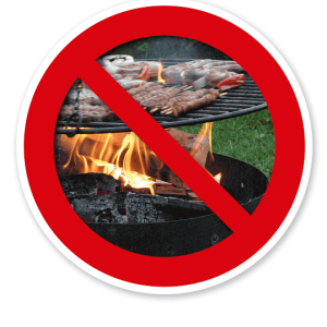 Verkehrsschild Grillen verboten