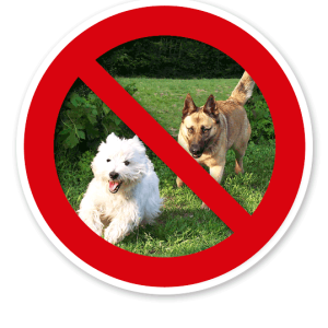 Verkehrsschild Hunde verboten