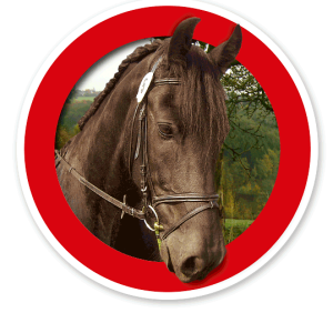 Verkehrsschild Für Pferde / Reiten verboten