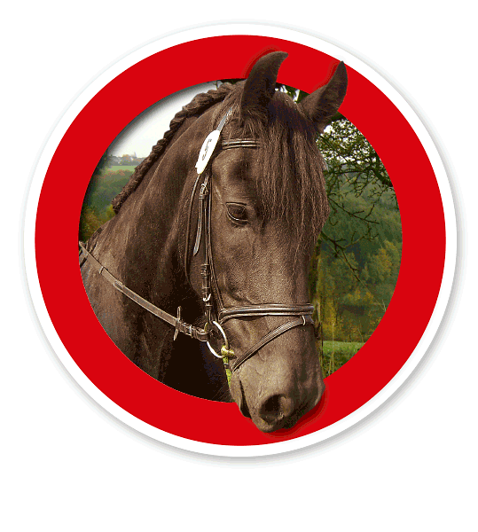 Verkehrsschild Für Pferde / Reiten verboten