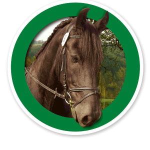 Verkehrsschild Für Pferde / Reiten erlaubt