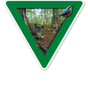 Verkehrsschild Waldkindergarten - Naturschutz (grün)