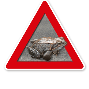 Verkehrsschild Achtung, Krötenwanderung – Tierschutz