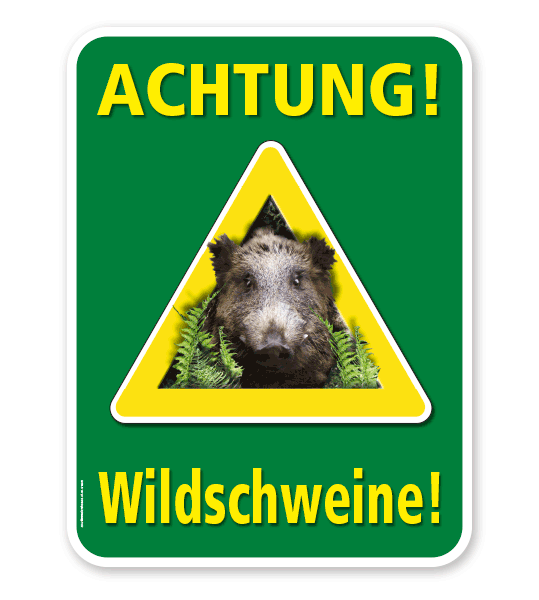 Warnschild Achtung, Wildschweine – G