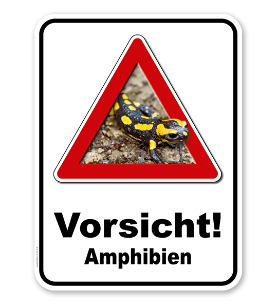Kombischild Vorsicht Amphibien Salamander