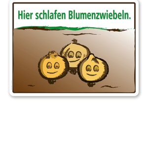Hinweisschild Hier schlafen Blumenzwiebeln - WH