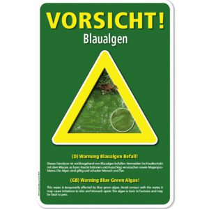 Warnschild Vorsicht, Blaualgen – G - zweisprachig