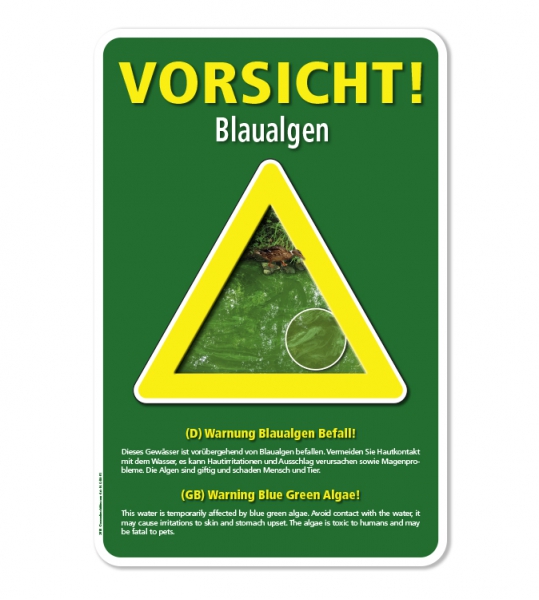 Warnschild Vorsicht, Blaualgen – G - zweisprachig